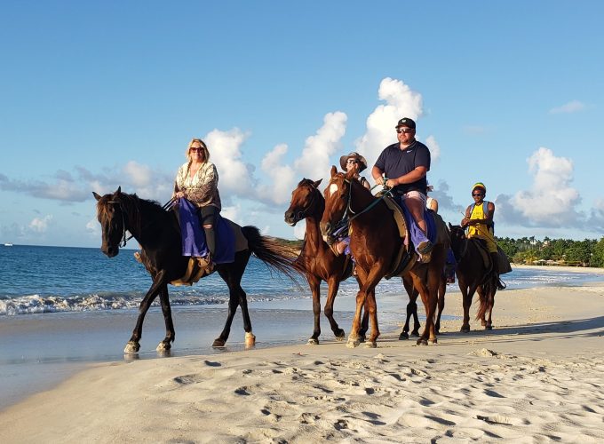 Explore Exciting and Unique Tours in the Caribbean!!